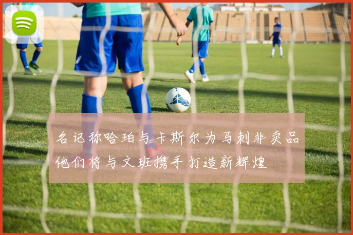 名记称哈珀与卡斯尔为马刺非卖品他们将与文班携手打造新辉煌
